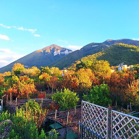 Casa Fifina Rooms Sant'Egidio del Monte Albino Екстер'єр фото